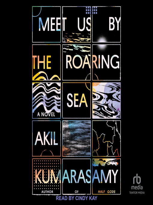 Title details for Meet Us by the Roaring Sea by Akil Kumarasamy - Wait list